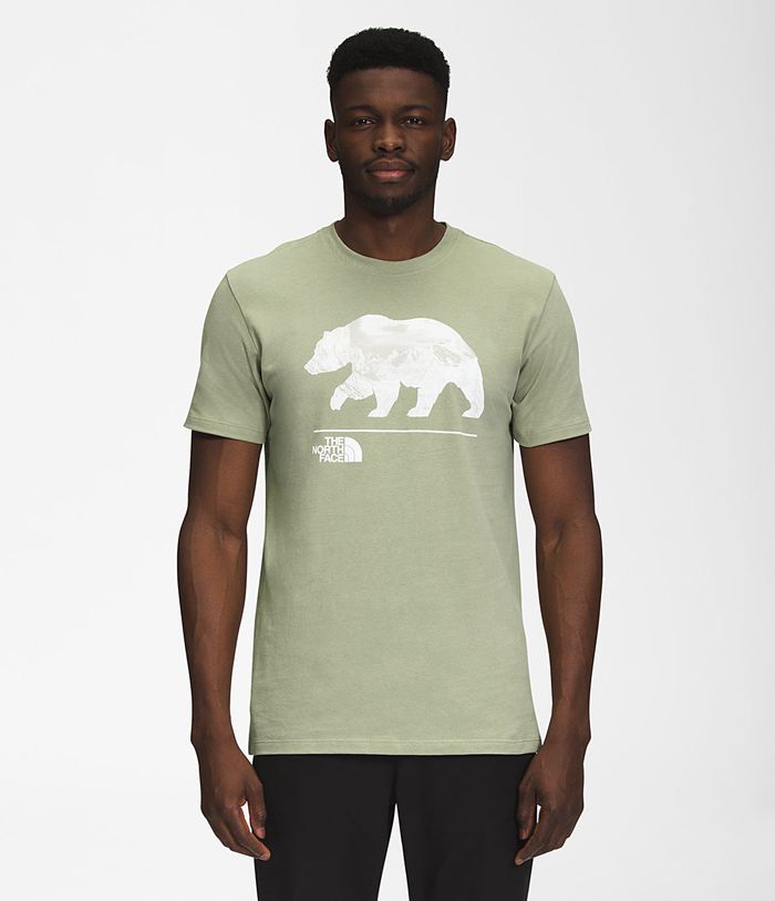 The North Face T-Shirts Bearscape Short Sleeve Green - Mens - Thailand TPHUN-9078